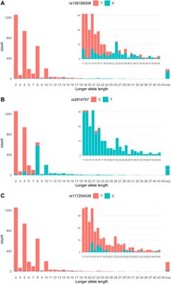 C9orf72 hexanucleotide repeat allele tagging SNPs: Associations with ALS risk and longevity